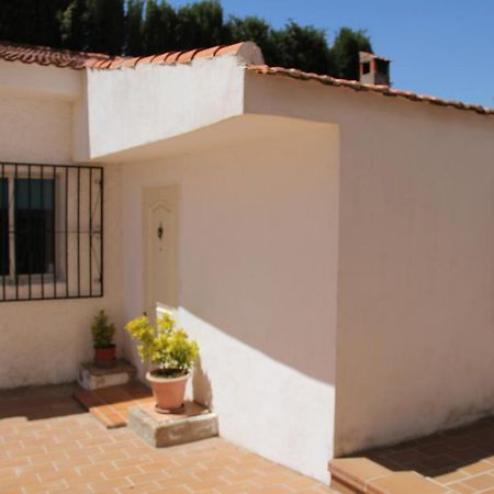 Studio Tropical Cullar Vega Exterior photo